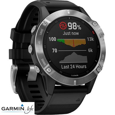 Спортивний годинник Garmin Fenix 6 Silver 010-02158-00