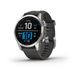 Смарт-годинник Garmin Fenix 7S Silver with Graphite Band