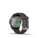 Смарт-часы Garmin Fenix ​​7S Pro Solar Silver w. Graphite Band