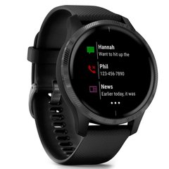 Смарт-годинник Garmin Venu Black/Slate