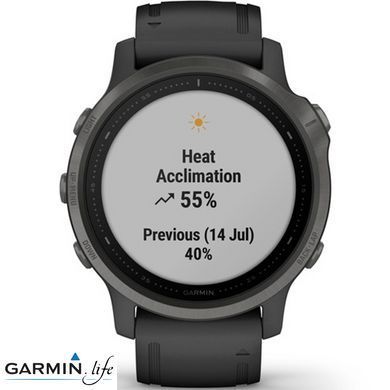 Спортивные часы Garmin Fenix 6S Carbon Gray DLC with Black Band 010-02159-25