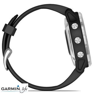 Спортивний годинник Garmin Fenix 6S Solar Silver with black band 010-02409-00