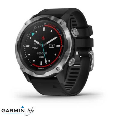 Смарт-годинник Garmin Descent Mk2 Stainless Steel with Black Band