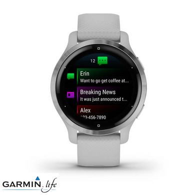 Смарт-годинник Garmin Venu 2S Silver Stainless Steel Bezel with Mist Gray Case and Silicone Band