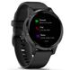 Смарт-годинник Garmin vivoactive 4S Black/Slate 010-02172-13