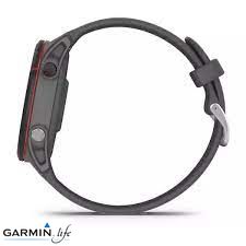 Смарт-годинник Garmin Forerunner 255 Slate Gray 010-02641-10