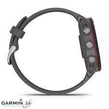 Смарт-годинник Garmin Forerunner 255 Slate Gray 010-02641-10