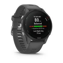 Смарт-годинник Garmin Forerunner 255 Slate Gray 010-02641-10