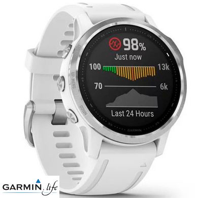 Спортивний годинник Garmin Fenix 6S Silver/White 010-02159-00