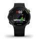 Спортивные часы Garmin Forerunner 45 Black 010-02156-15
