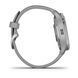 Смарт-часы Garmin Venu 2 Plus Silver S. Steel Bezel w. Powder G. Case and S. Band
