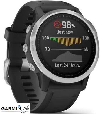 Спортивний годинник Garmin Fenix 6S Silver 010-02159-01