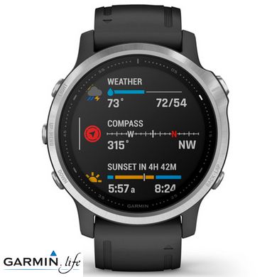 Спортивний годинник Garmin Fenix 6S Silver 010-02159-01