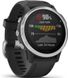 Спортивний годинник Garmin Fenix 6S Silver 010-02159-01